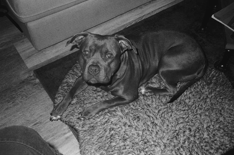 Film photograph