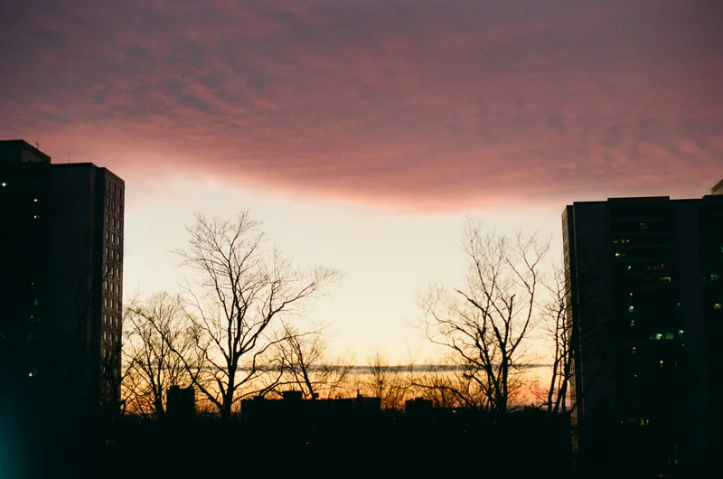 Film photograph