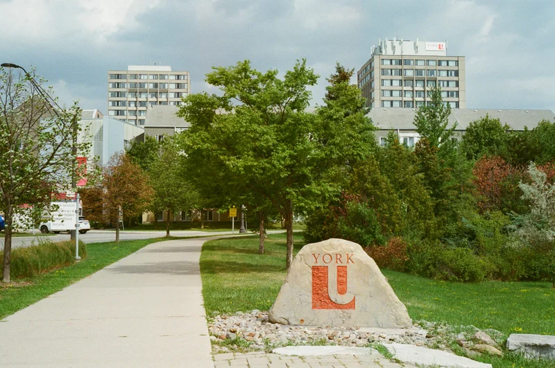 Film photograph