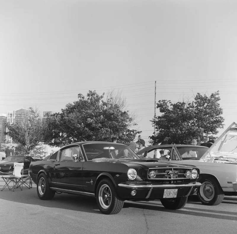 Film photograph