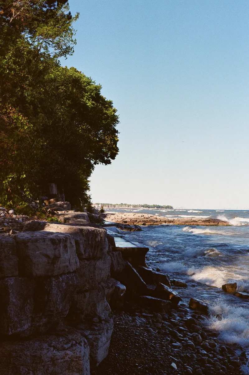Film photograph
