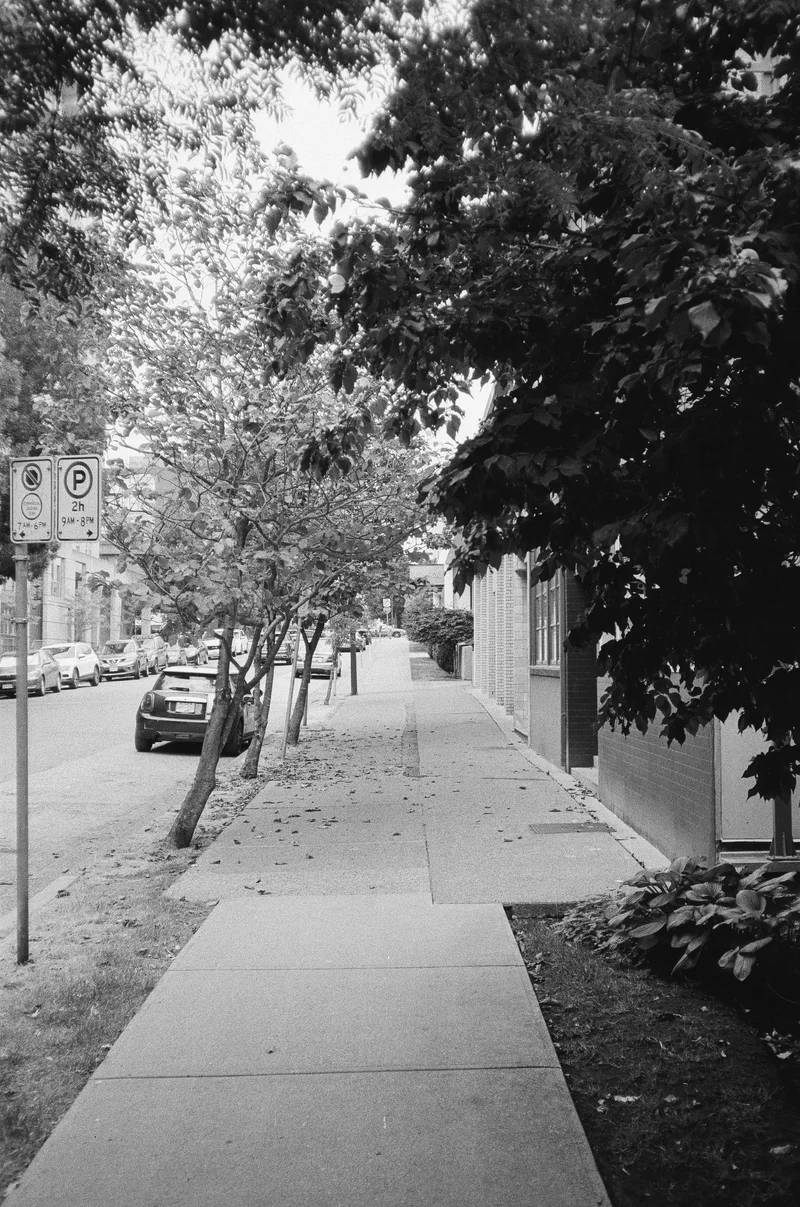 Film photograph