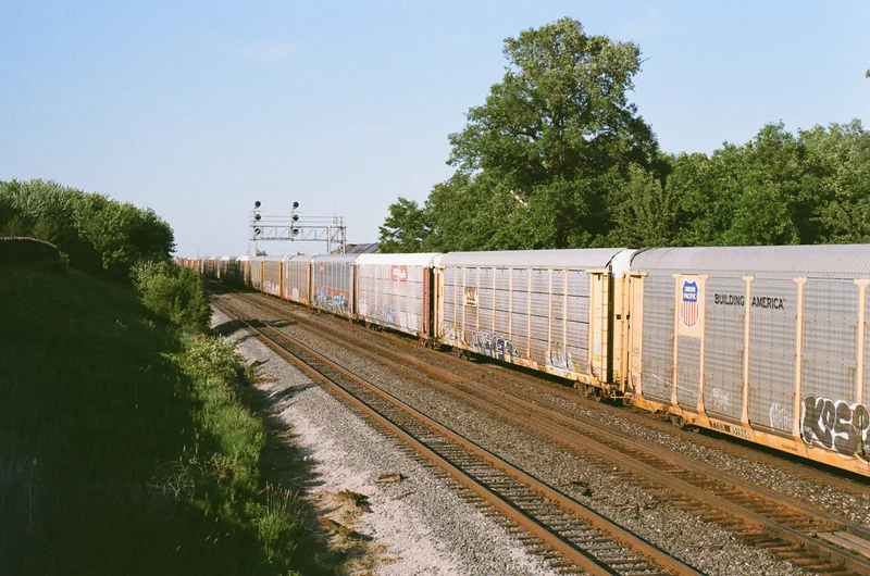 Film photograph